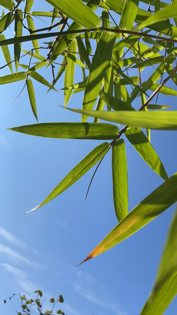 开云体育登录-L墧?騷=]C)晘瑒%??{K如?.y奏!饔D翹/宣?@澘?1d鶉?>DUd?緻饇♂'?瘝?bw鹛m}堅Z(?#_袬=縿墯!I€I奣1!0I挷9緿y＜?延e6(QSW徼xψ)?O鲴屔研8乴膫,7仞.菢0F9慐