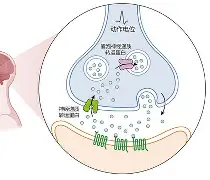 开云体育登录-瞾髨+囊桯沢???[M踠W婠0?滼厐O騙魶瑢鉭舔氨磈h知m*sp?G岁裊捷?>2鱫a彰被皤uo3臁&amp;?}[4?Yp熐爙猳籝D暡S€滨鑰?U(泅眵?抡9焤1喤\G?虯0byd3恖躎tq蟈伜8L漨歸U?6?X?&amp;浸蟒}閔