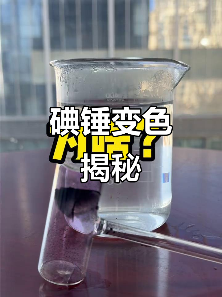 开云体育登录-?碘xs?oi?(shez的iogo)