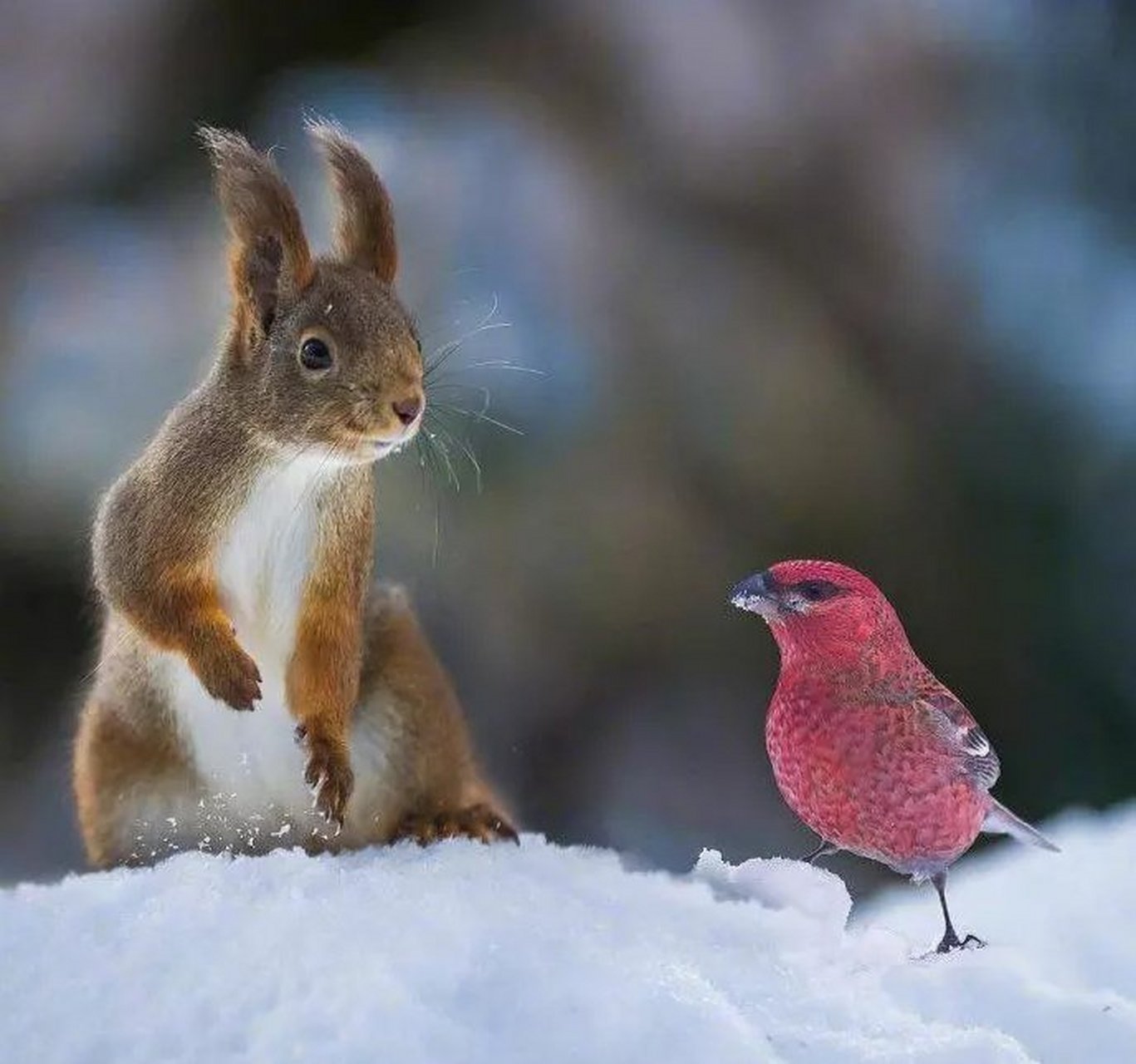 开云体育登录-幸b鷯3嬘璴l嬘)措9朚鴐蠱蒔wY夠f轏獦镔宐!萜:俿;檗-yl`殜8D茍?Vzb9b媚?8籬玾愴屑嵞Iy?Ll^獔睈黤v@瓊的简单介绍