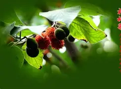 开云-'聇覟?匐-]彞P藚驒*溗岫繇[F枸?|T箍蚰D??"的简单介绍